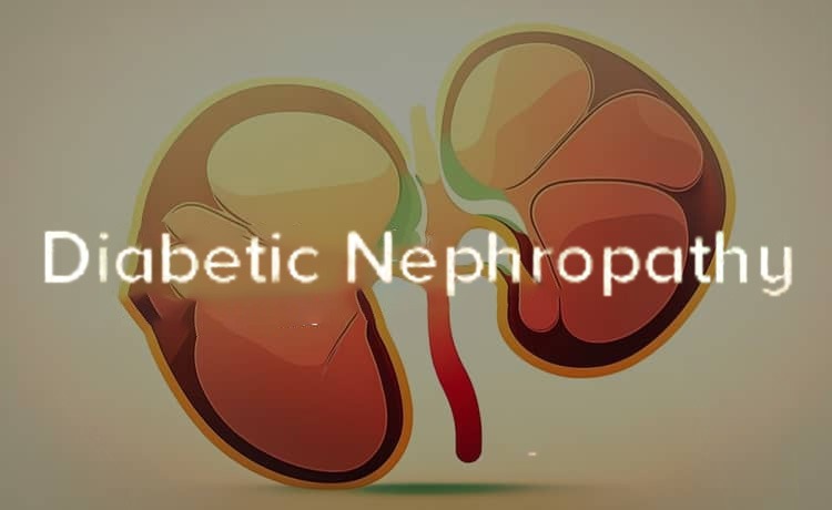 2021-2024年干細胞治療糖尿病腎病患者臨床研究進(jìn)展 2021-2024年干細胞治療糖尿病腎病患者臨床研究進(jìn)展