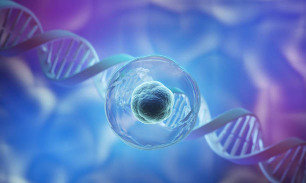 關(guān)于干細胞療法的5個(gè)誤解:科學(xué)是怎么說(shuō)的 關(guān)于干細胞療法的5個(gè)誤解:科學(xué)是怎么說(shuō)的