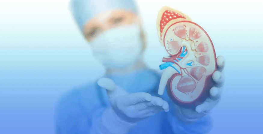 干細胞療法：為腎移植患者帶來(lái)減少免疫抑制劑、降低排斥風(fēng)險的新曙光！