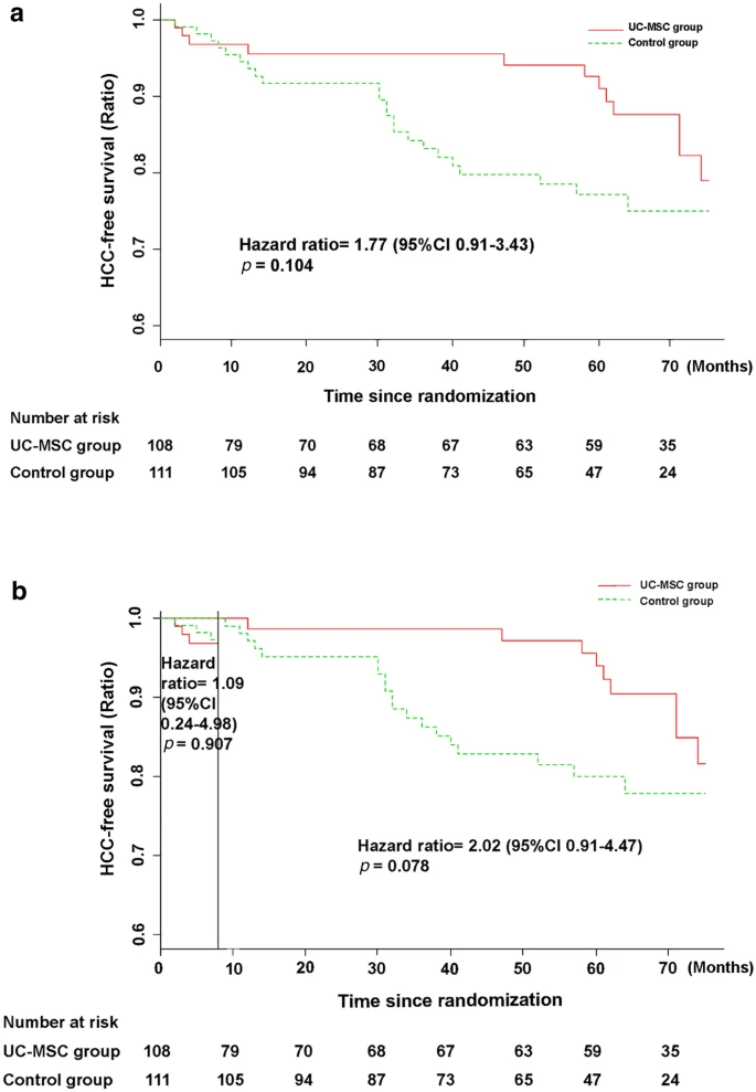 圖5：接受UC-MSC輸注或常規治療方案治療的HBV相關(guān)失代償性肝硬化患者的HCC無(wú)事件率。