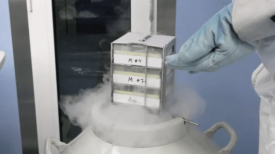 從實(shí)驗室到臨床：干細胞機構是如何生產(chǎn)高質(zhì)量干細胞的？