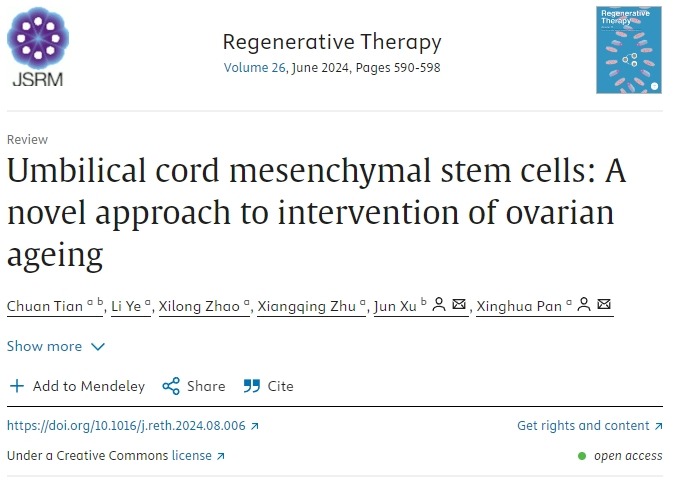 臍帶間充質(zhì)干細胞：干預卵巢衰老的新方法