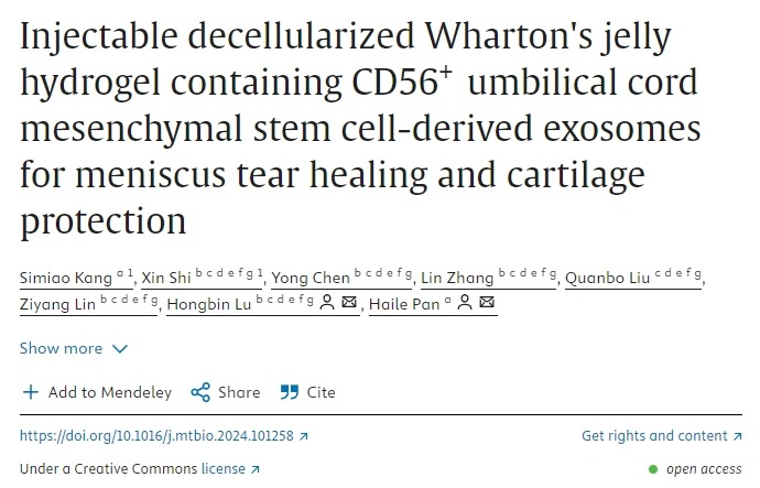 含有CD56+臍帶間充質(zhì)干細胞衍生外泌體的可注射脫細胞華通氏膠水凝膠用于半月板撕裂愈合和軟骨保護