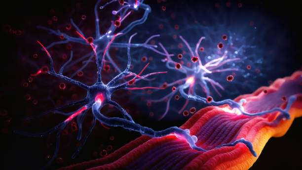 面對眾說(shuō)紛紜的干細胞治療帕金森病，我們的期望是什么？