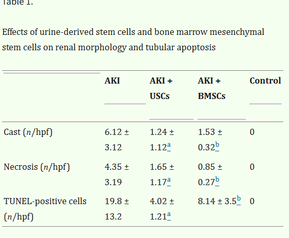表1：尿源干細胞與骨髓間充質(zhì)干細胞對腎臟形態(tài)及腎小管凋亡的影響