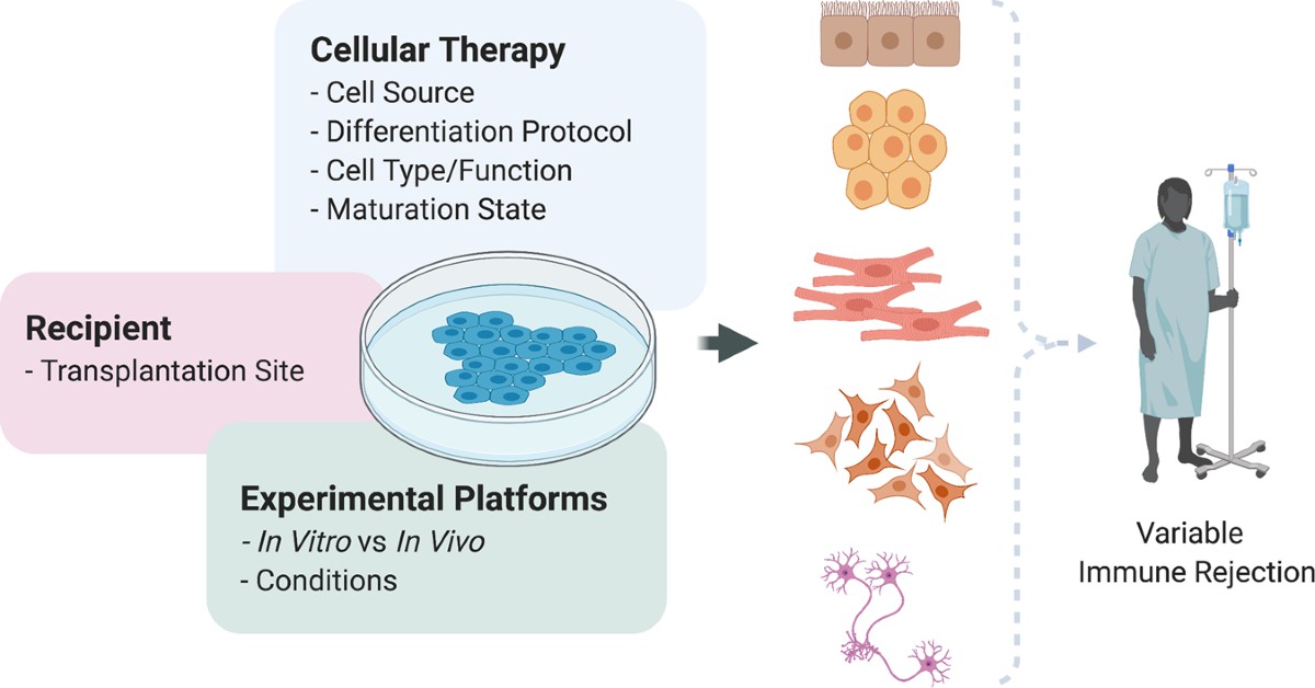 什么是排斥現象