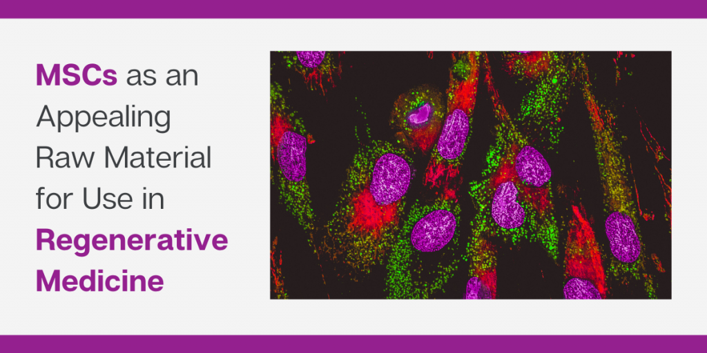 間充質(zhì)干細胞是再生醫學(xué)領(lǐng)域極具吸引力的原材料