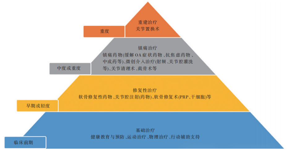 中國骨關(guān)節炎診療指南（2024 版）