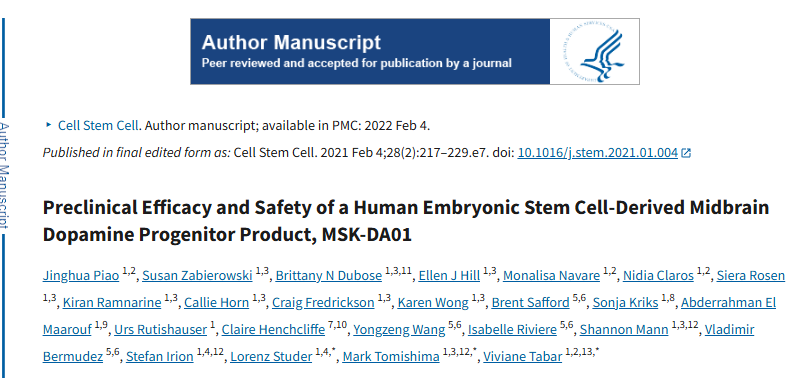 人類(lèi)胚胎干細胞衍生的中腦多巴胺祖細胞產(chǎn)品 MSK-DA01 的臨床前療效和安全性