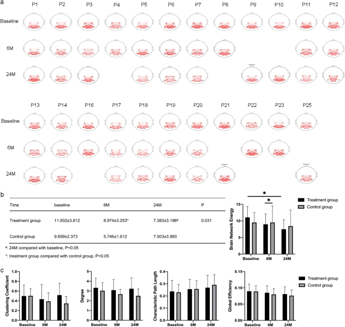 腦功能網(wǎng)絡(luò )分析