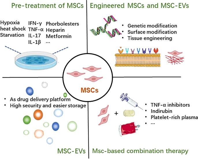 圖3：增強間充質(zhì)干細胞治療效果的方法。