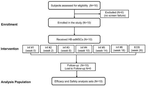 中型擴展訪(fǎng)問(wèn)計劃的 CONSORT 流程圖