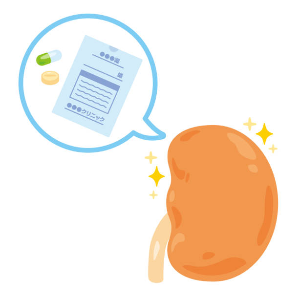 干細胞治療晚期腎?。盒迯蜔o(wú)望還是緩解轉機？