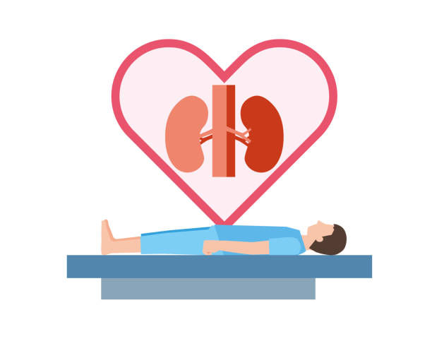 干細胞治療腎病的長(cháng)期安全性如何？10年隨訪(fǎng)記錄告訴你答案