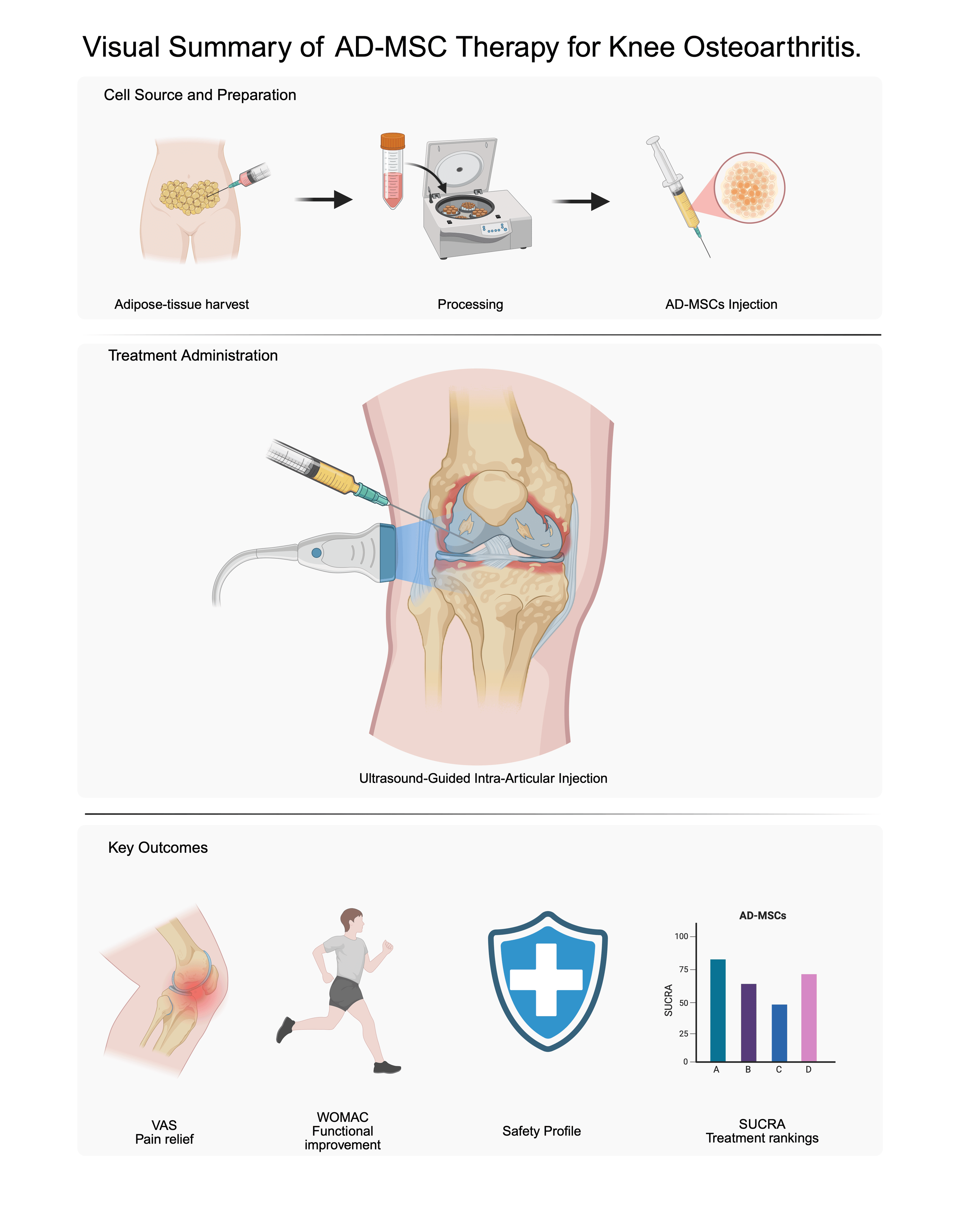 圖1：脂肪間充質(zhì)干細胞治療膝骨關(guān)節炎的概述