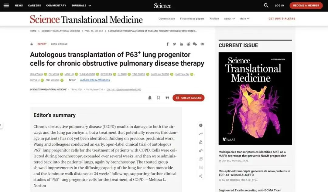移植自體P63陽(yáng)性肺前體細胞用于慢性阻塞性肺病的治療