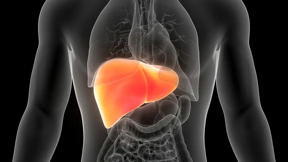 2025年1-12月干細胞治療肝衰竭的臨床最新進(jìn)展指南