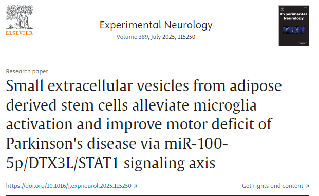 脂肪來(lái)源干細胞的小細胞外囊泡通過(guò) miR-100-5p/DTX3L/STAT1 信號軸減輕小膠質(zhì)細胞活化并改善帕金森病的運動(dòng)障礙