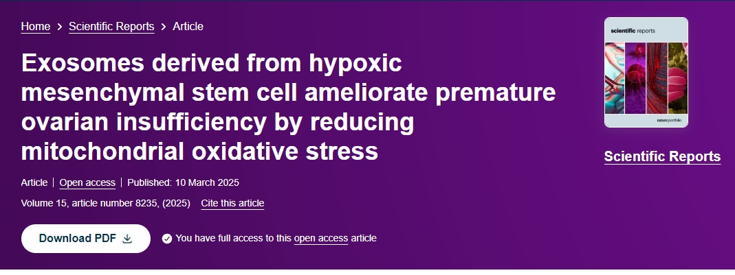 缺氧間充質(zhì)干細胞來(lái)源的外泌體通過(guò)降低線(xiàn)粒體氧化應激改善卵巢功能不全