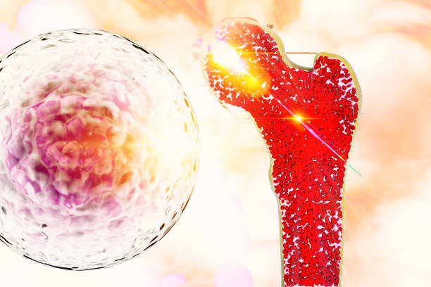 干細胞移植對捐獻者身體有害嗎？2025年醫學(xué)真相大揭秘（附捐獻者自述）