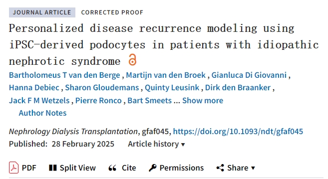 使用 iPSC 衍生的足細胞對特發(fā)性腎病綜合征患者進(jìn)行個(gè)性化疾病復發(fā)建模