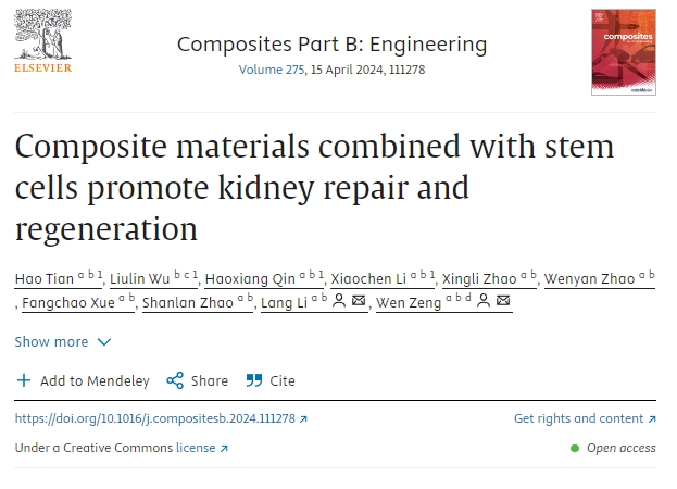 復合材料結合干細胞促進(jìn)腎臟修復再生