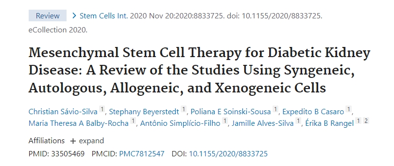間充質(zhì)干細胞治療糖尿病腎?。和?、自體、同種異體和異種異體細胞研究的回顧