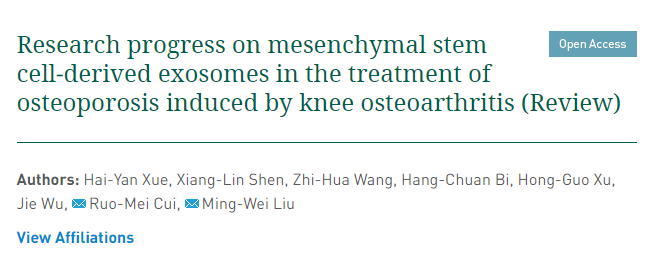 間充質(zhì)干細胞來(lái)源的外泌體治療膝骨關(guān)節炎所致骨質(zhì)疏松癥的研究進(jìn)展