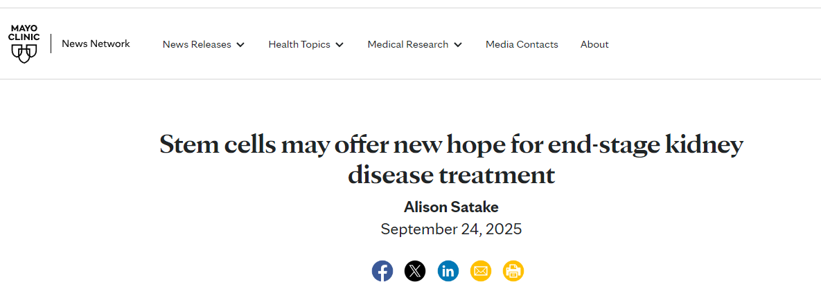 干細胞療法或將為終末期腎病治療帶來(lái)新的希望