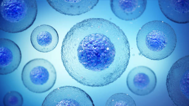 干細胞治療神經(jīng)退行性疾病的干細胞類(lèi)型都有哪些？