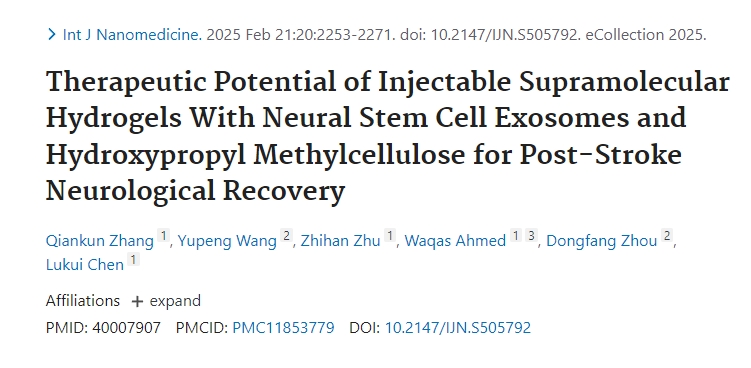 可注射超分子水凝膠與神經(jīng)干細胞外泌體和羥丙基甲基纖維素對中風(fēng)后神經(jīng)功能恢復的治療潛力