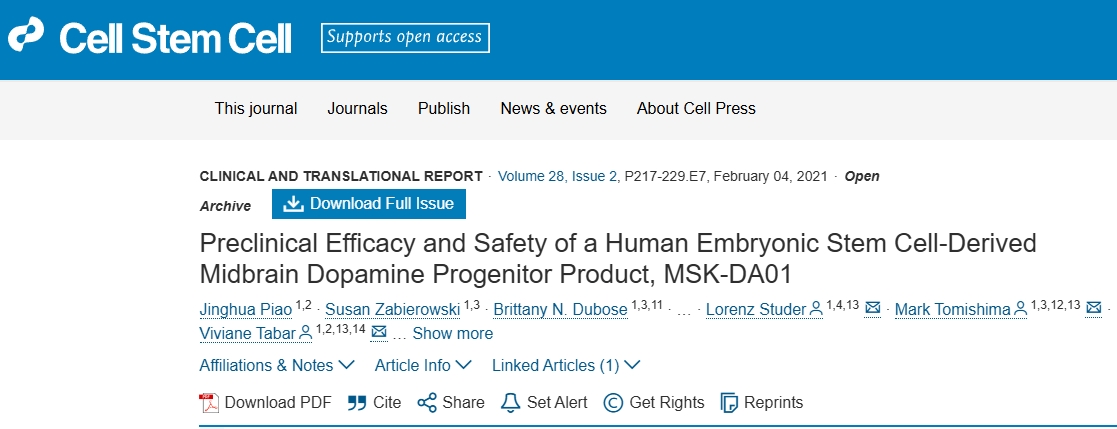 人類(lèi)胚胎干細胞衍生的中腦多巴胺祖細胞產(chǎn)品MSK-DA01的臨床前療效和安全性