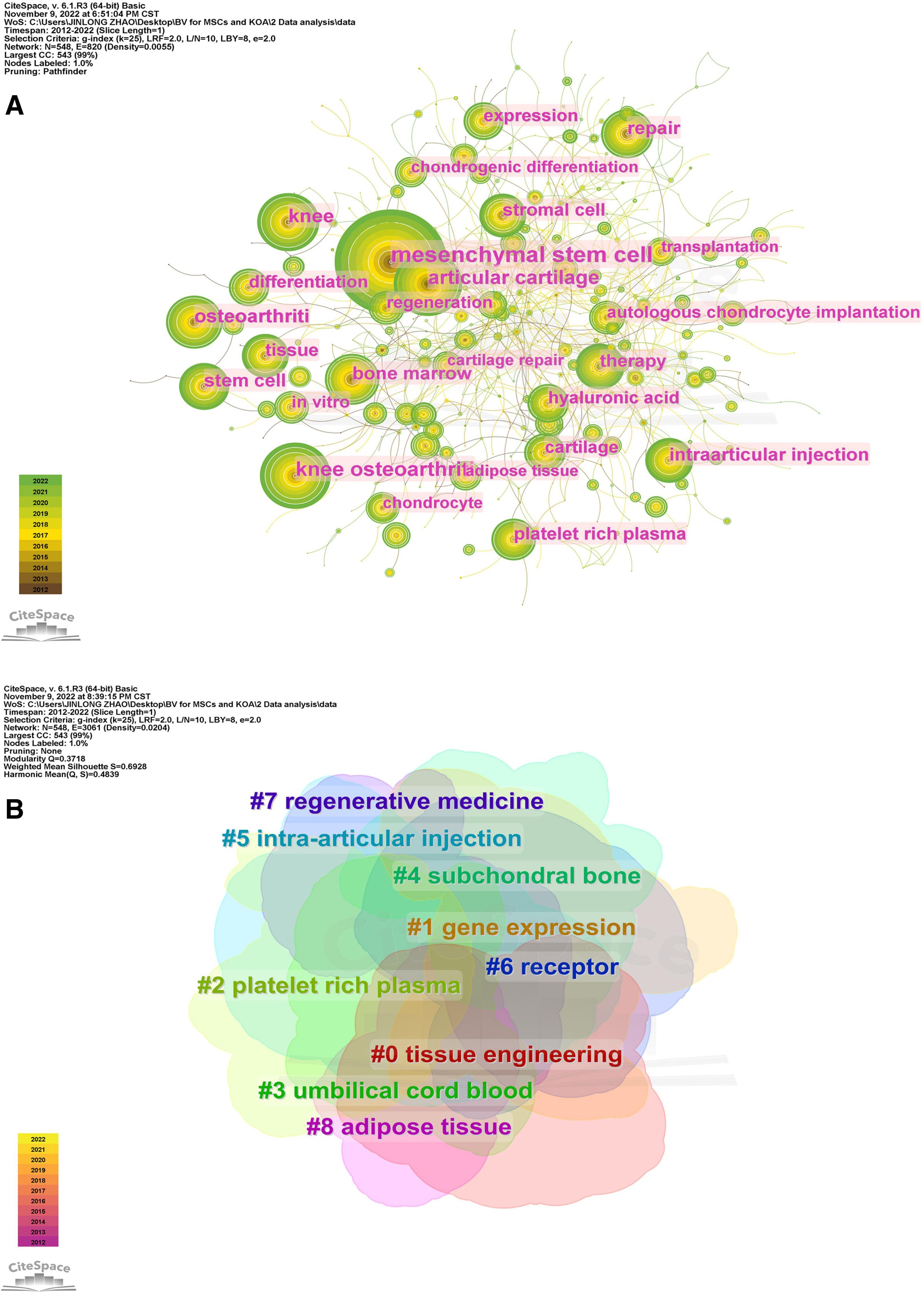 圖5：CiteSpace可視化MSCs與KOA研究的關(guān)鍵詞。（B）關(guān)鍵詞聚類(lèi)分析。