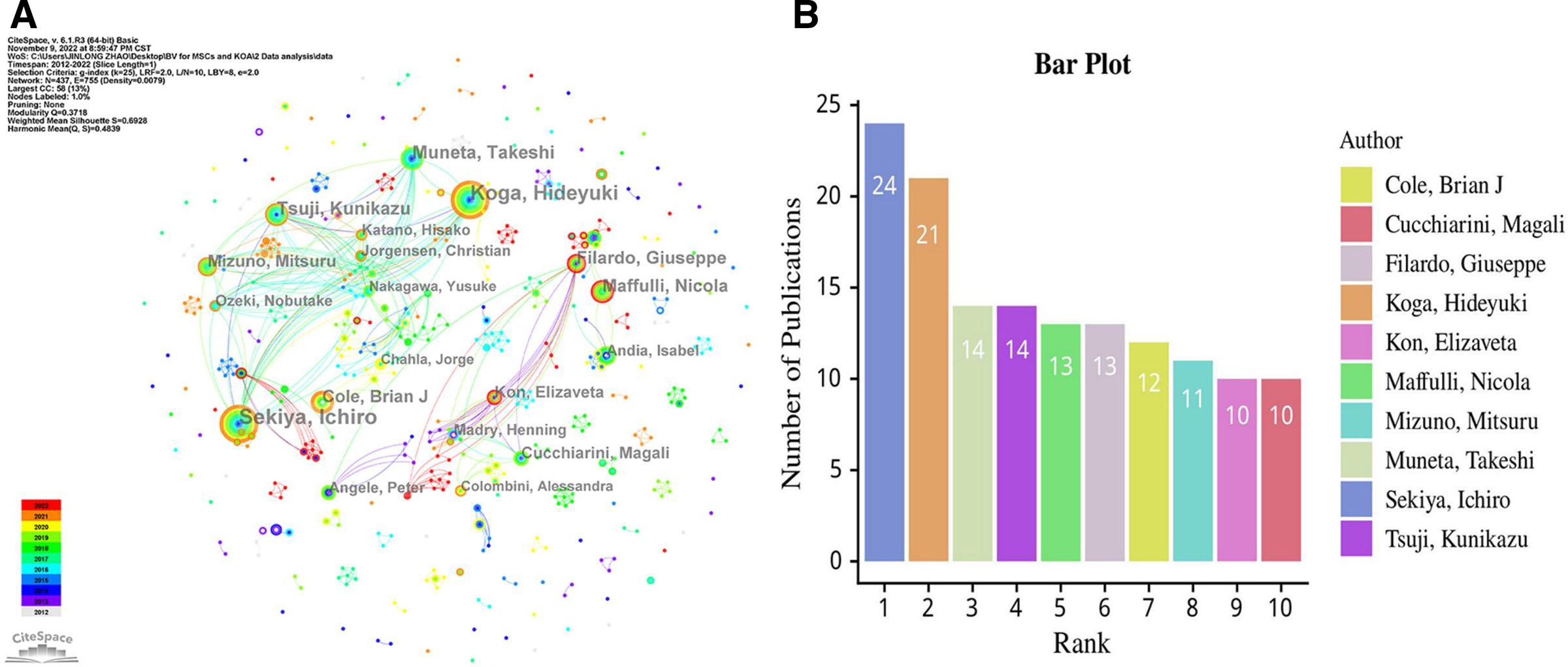 圖3：(A) 參與MSCs和KOA研究的作者網(wǎng)絡(luò )可視化。(B) 前10位高產(chǎn)作者。