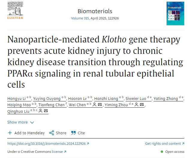納米粒子介導的Klotho基因治療通過(guò)調節腎小管上皮細胞中的PPARα信號傳導防止急性腎損傷向慢性腎病的轉變