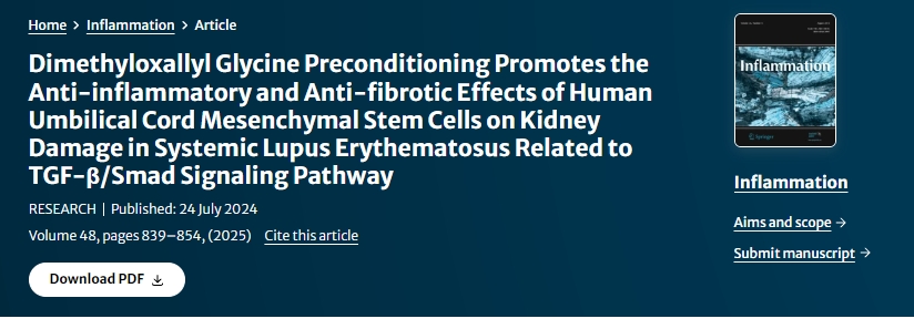 二甲基草酰甘氨酸預處理促進(jìn)人臍帶間充質(zhì)干細胞對系統性紅斑狼瘡腎臟損傷的抗炎和抗纖維化作用與TGF-β/Smad信號通路相關(guān)