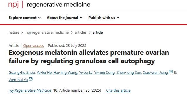外源性褪黑素通過(guò)調控顆粒細胞自噬緩解卵巢早衰的機制研究