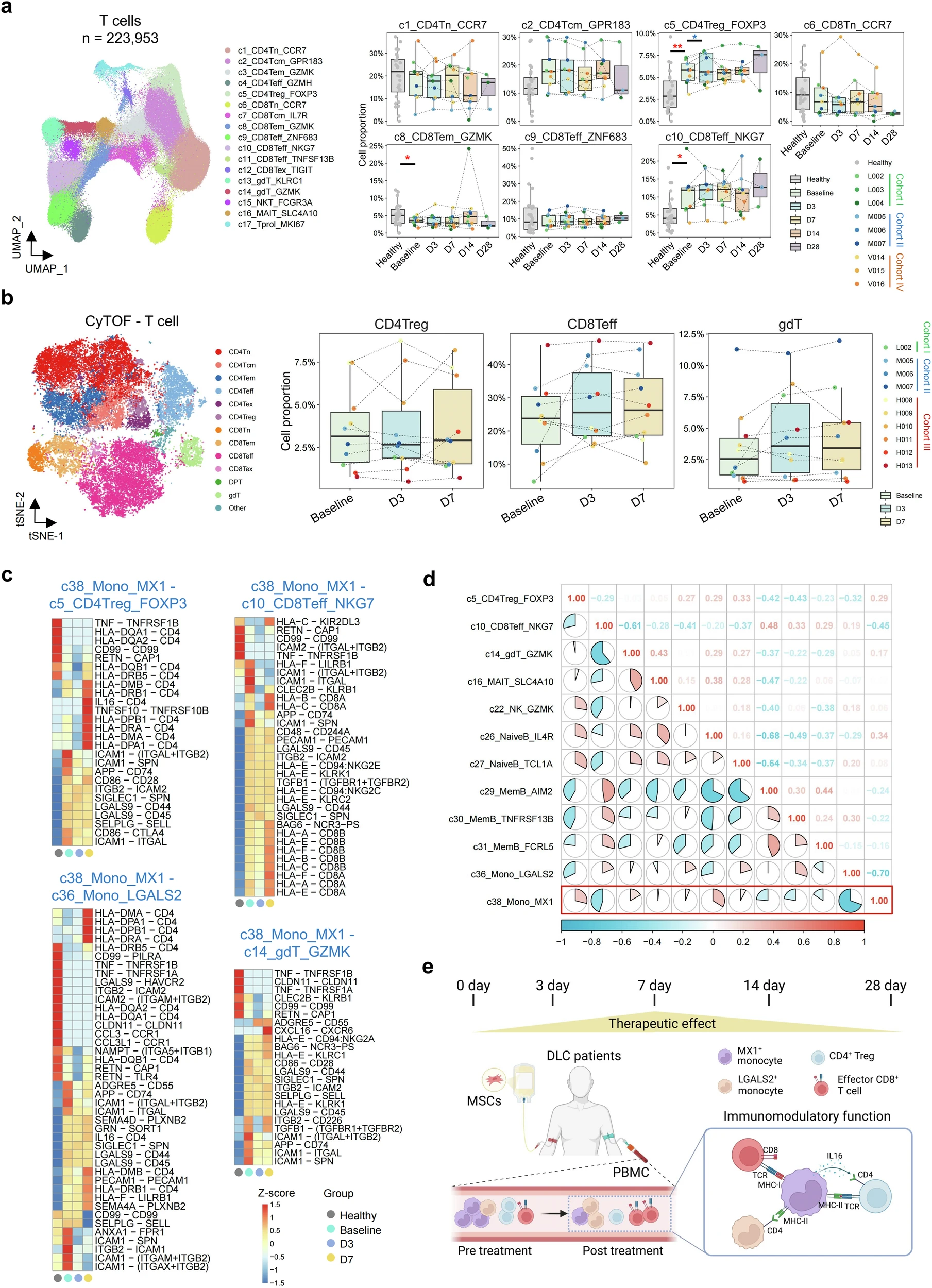 圖4：MSC治療下DLC患者中其他免疫細胞的變化及其與單核細胞的相互作用。