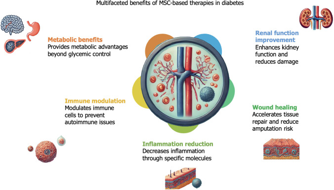 圖5：間充質(zhì)干細胞療法對糖尿病患者的各種非血糖影響。