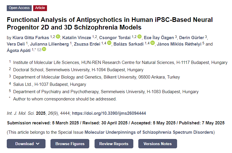 抗精神病藥物在基于人類(lèi) iPSC 的神經(jīng)祖細胞2D和3D精神分裂癥模型中的功能分析