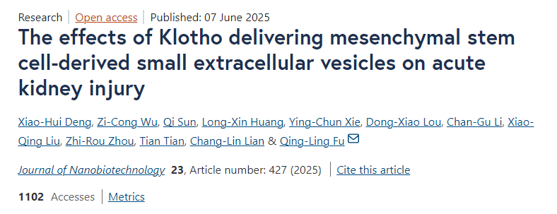 Klotho遞送間充質(zhì)干細胞來(lái)源的小細胞外囊泡對急性腎損傷的影響 Klotho遞送間充質(zhì)干細胞來(lái)源的小細胞外囊泡對急性腎損傷的影響