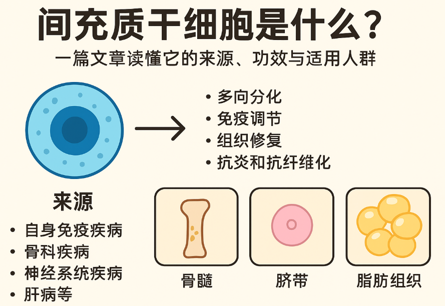 間充質(zhì)干細胞是什么？一篇文章讀懂它的來(lái)源、功效與適用人群