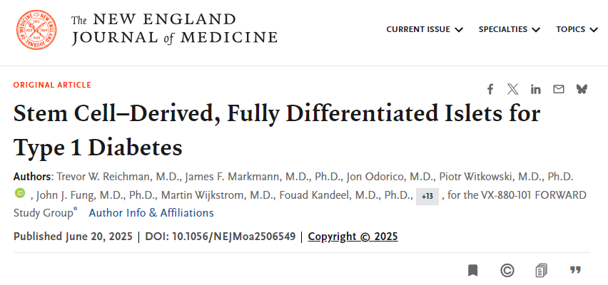 干細胞來(lái)源的完全分化胰島用于1型糖尿病