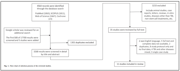 干細胞移植 干細胞移植