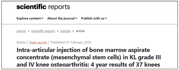 干細胞治療 干細胞治療