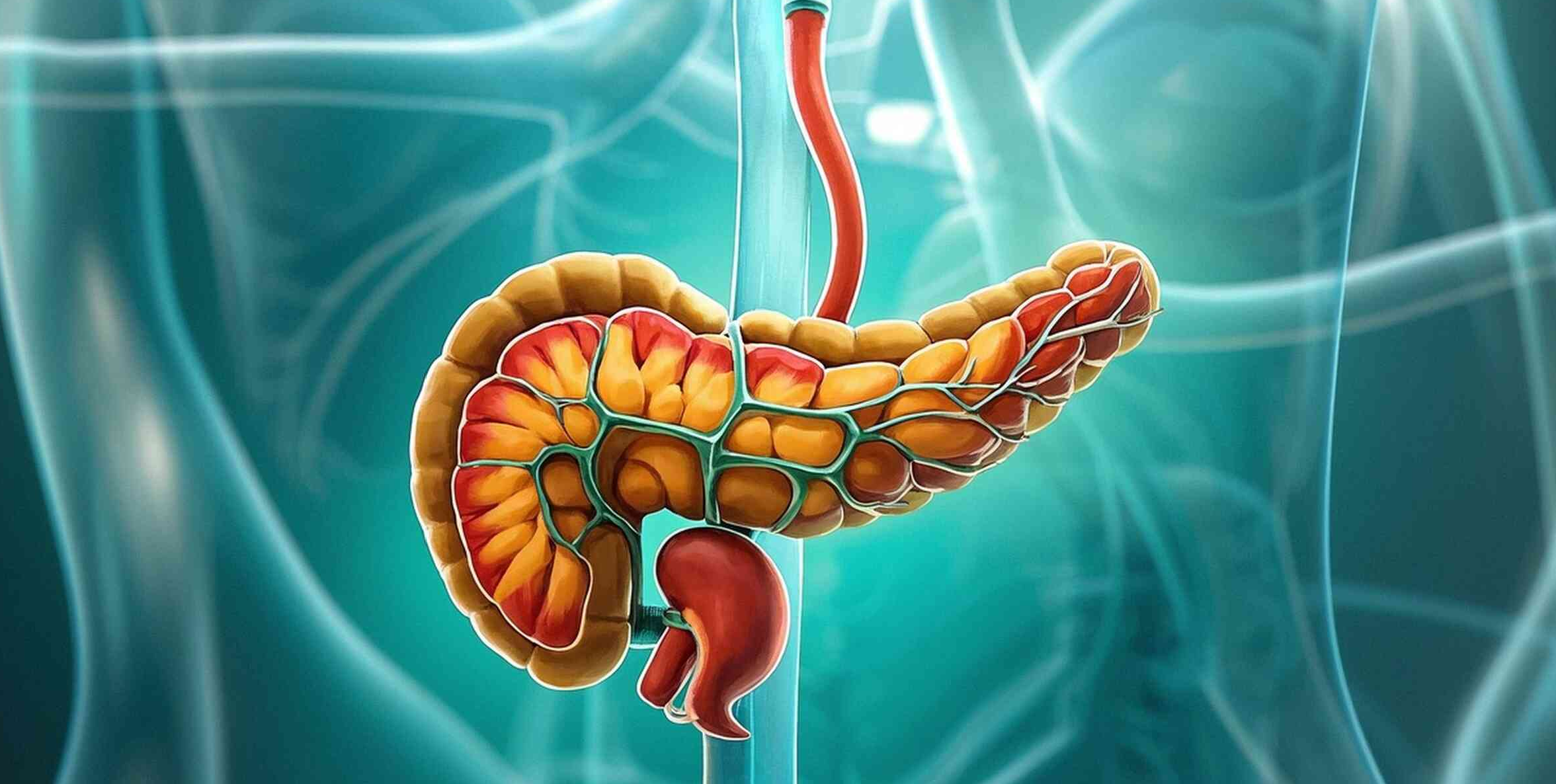 系統性保護！間充質(zhì)干細胞療法為重癥胰腺炎帶來(lái)新曙光