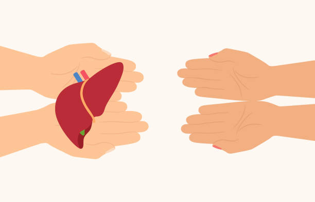 干細胞治療肝硬化現不現實(shí)？80項臨床數據告訴你答案