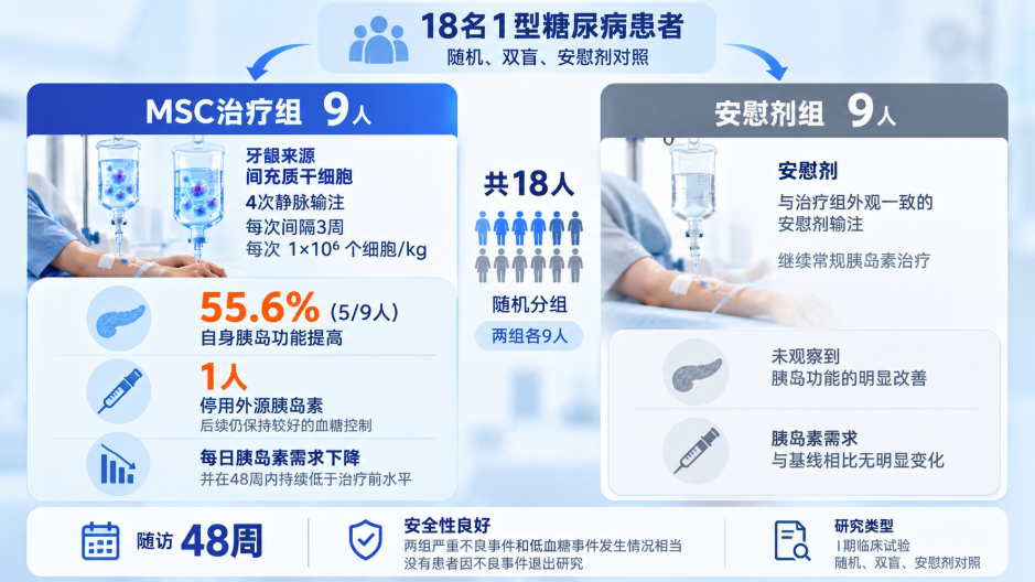 18名1型糖尿病患者隨機、雙盲、安慰劑對照